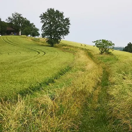 Castel Mazars Oda ve Kahvaltı Castelnau-de-Montmiral
