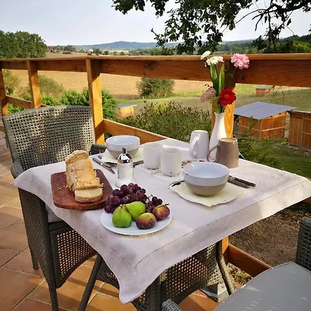 Bed & Breakfast Castel Mazars Castelnau-de-Montmiral