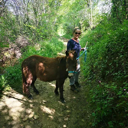 Castel Mazars 3* 카스텔누데몬트미랄