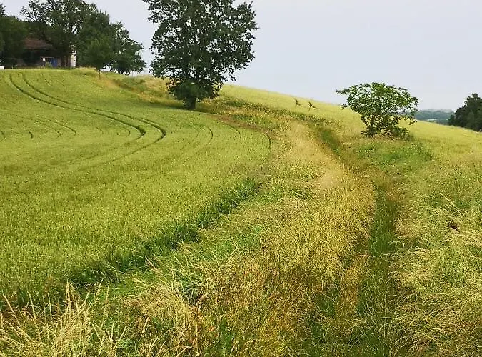 Castel Mazars Frühstückspension Castelnau-de-Montmiral
