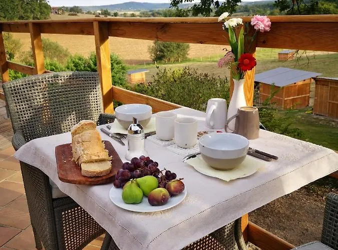 Frühstückspension Castel Mazars Castelnau-de-Montmiral