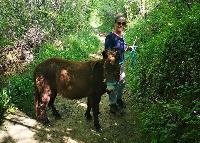 Castel Mazars 3* Castelnau-de-Montmiral