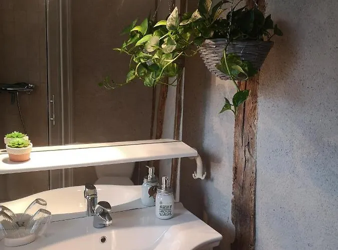 Frühstückspension Castel Mazars Castelnau-de-Montmiral